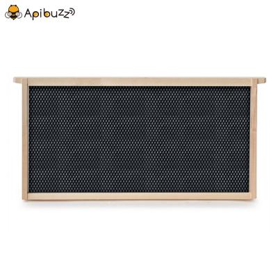 Langstroth Wooden Deep Honey Bee Hive Frames with Plastic Foundation 