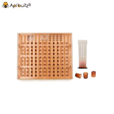 Nicot Queen Rearing System & Hair Roller Cages