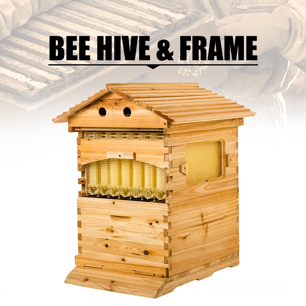 Bee Hive & Frame