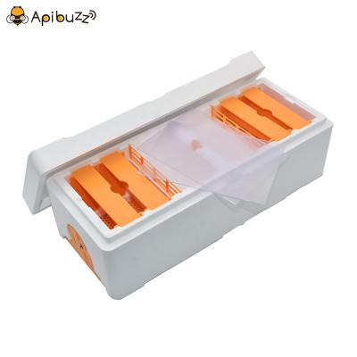 Duplex Mini Mating Nucs Bee Box Polystyrene Double Queen Bee Colony Rearing Nucleus Hive for Bees Apicultura Beehives Beekeeping