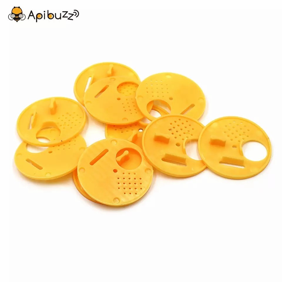 Garsent Apicoltura Completa Queen Kit Di Allevamento, Apicoltura Regina Allevamento Coppe Box Cell Bar Blocchi Cappelli Racchette Per Capelli Gabbia Attrezzature Per L'apripista